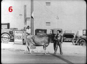 (6) Buster and Brown Eyes in Go West, across the street from the fire/police station.