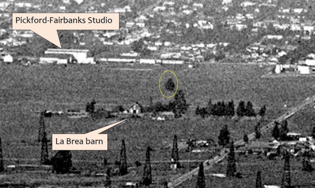 This view north from the same aerial image shows the landmark tree (oval) and the south face of the La Brea barn. Construction of the Robin Hood castle set has yet to commence.