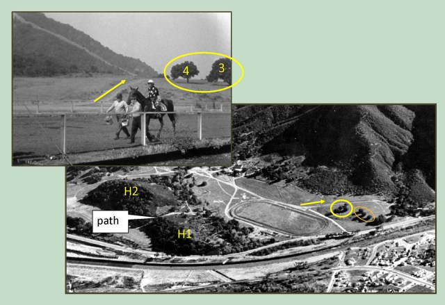 Marc Wanamaker - Bison Archives.