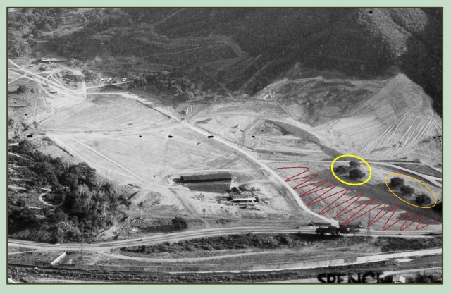 Marc Wanamaker - Bison Archives.