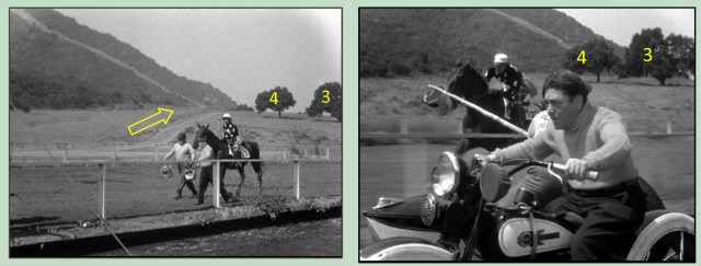 Two views west towards trees 4 and 3, part of the BOAN group.