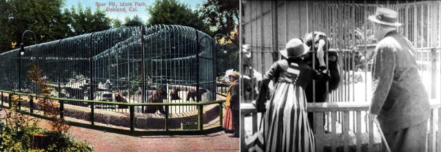 Mabel Normand and Roscoe Arbuckle feed the bears at the former Idora Park in Oakland.