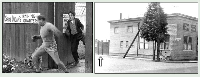 Looking to the SW, this shows Charlie's gate and the corner of the studio at G Street.